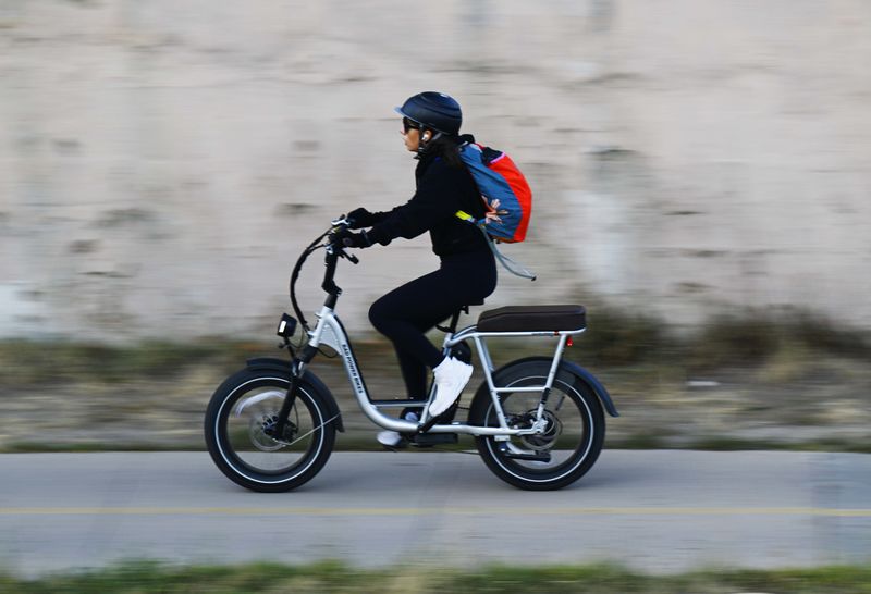 Bloomberg Denvers e-bike